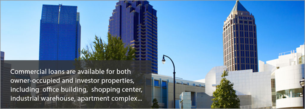 View of Commercial Loans